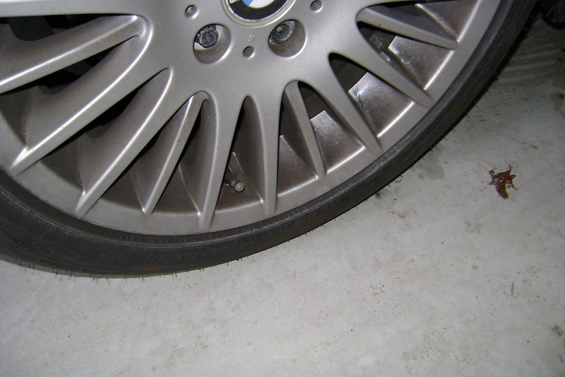 dsc03105c.webp