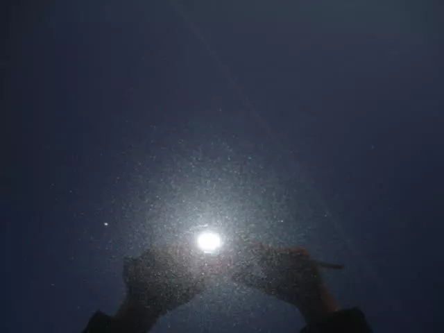 DSC05408.webp