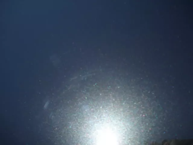 DSC05412.webp