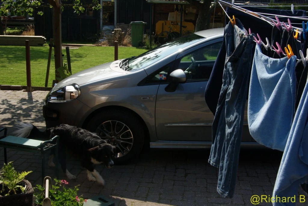 dsc059711024x768.webp
