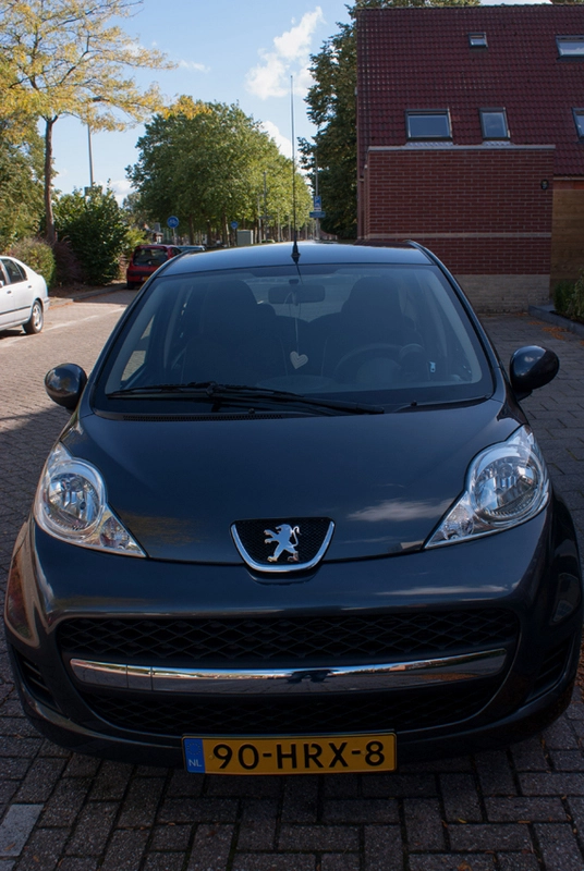 dsc07592w.webp
