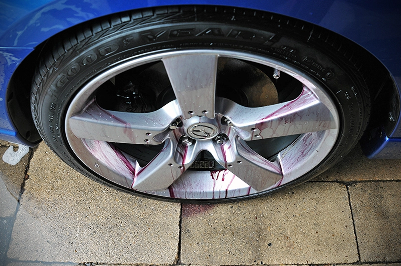 dsc4424u.webp