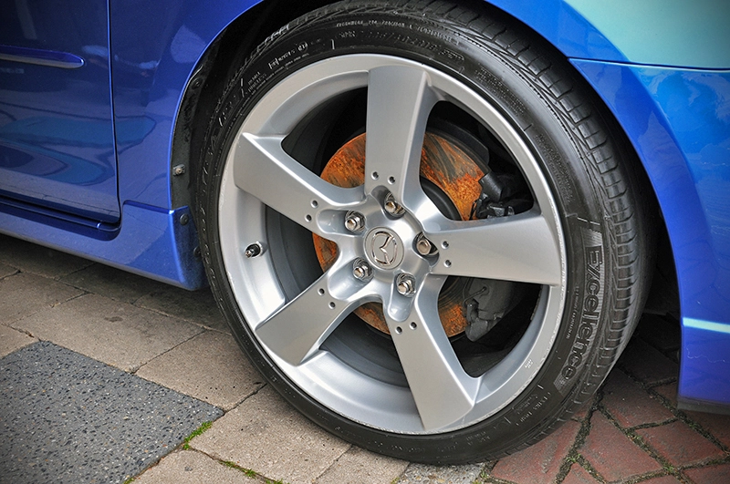dsc4524z.webp