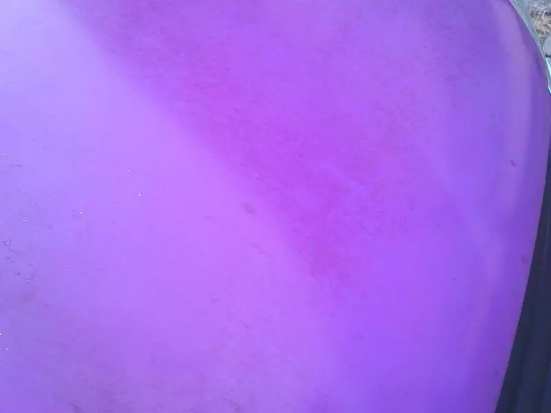 DSC_0069.webp