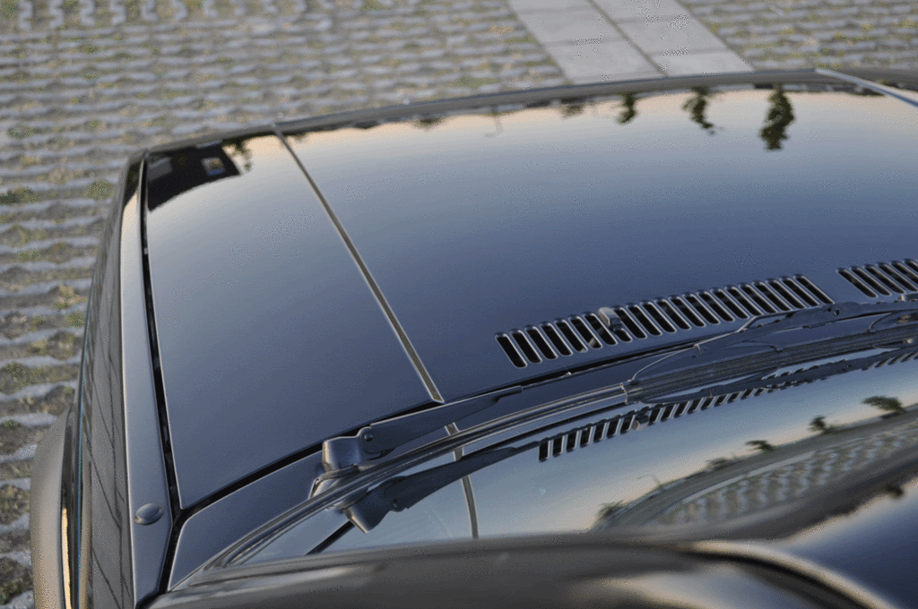 DSC_0150-Golf-schoon-MotorkapC.gif