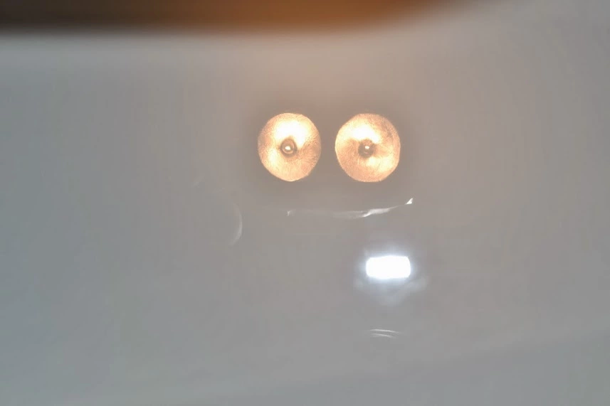 DSC_0255.webp