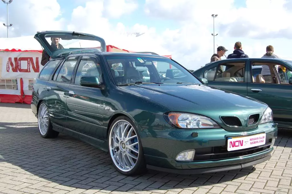 DSC_2508.webp