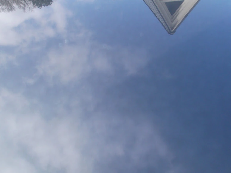 DSCF0011.webp