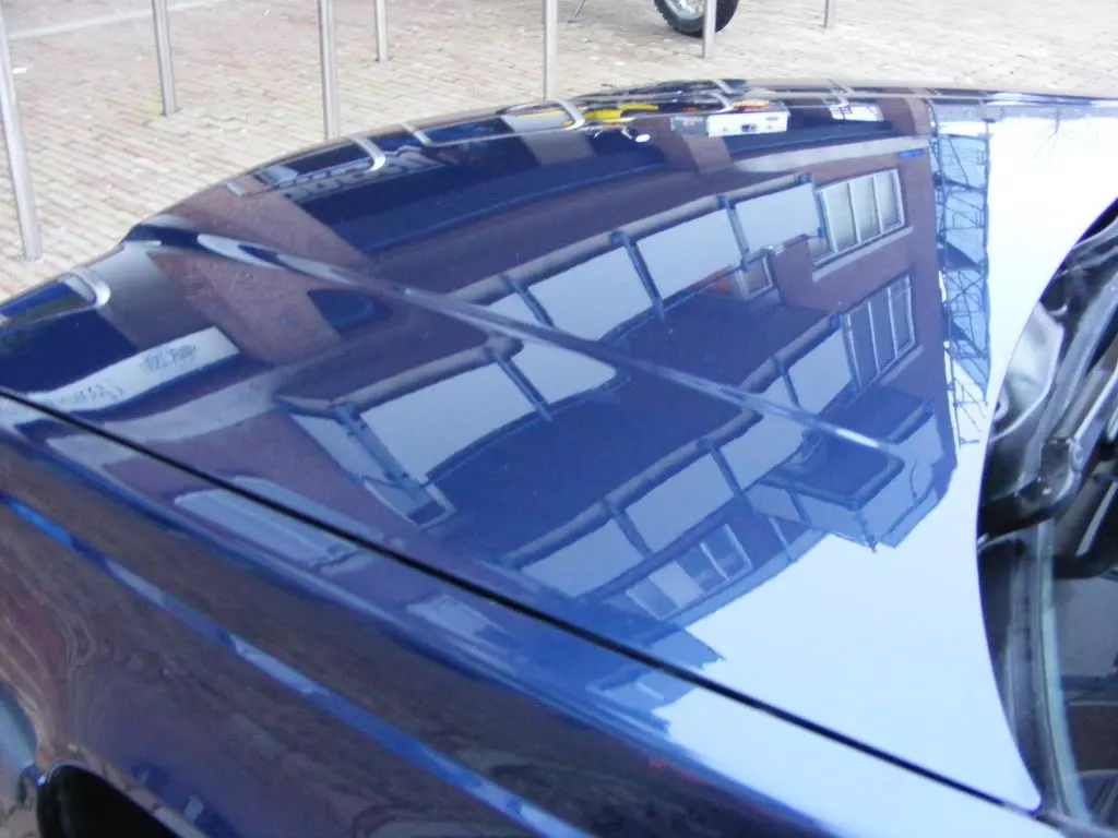 DSCF0059.webp