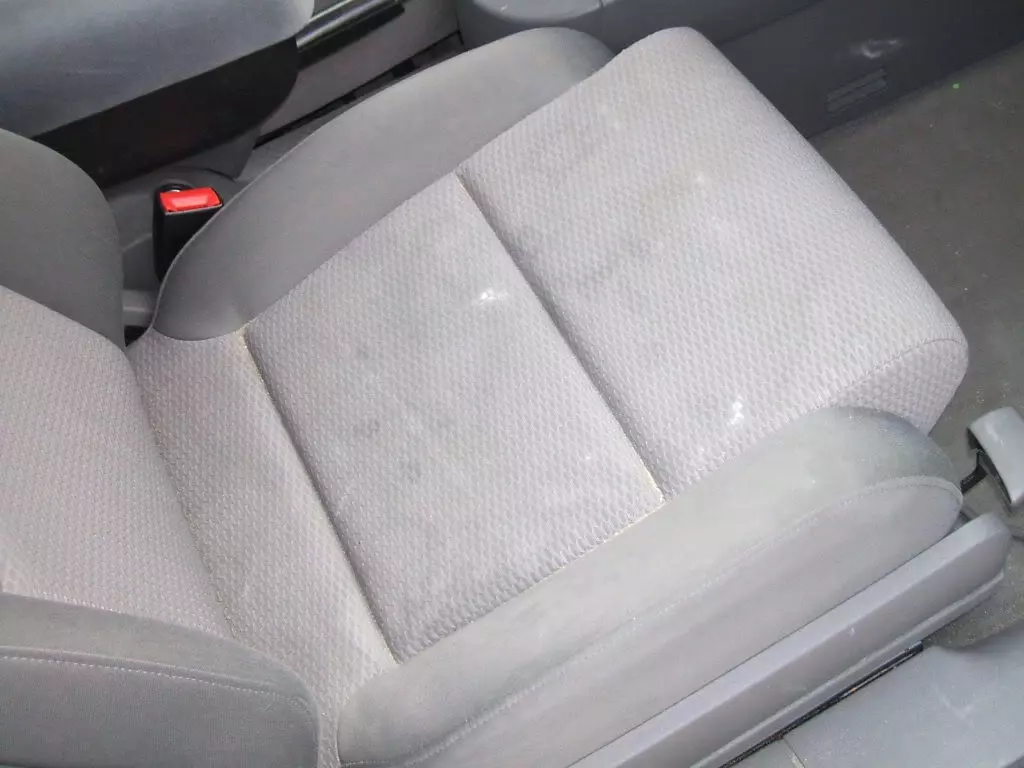 DSCF1936.webp