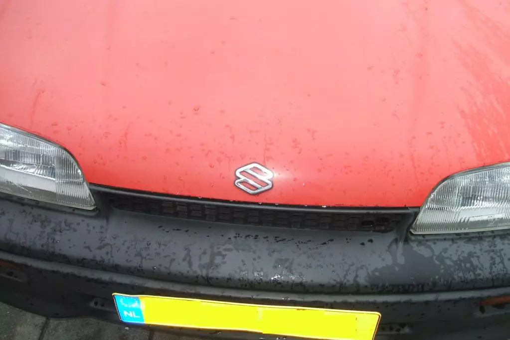 DSCF2153.webp