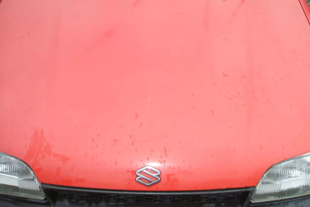 DSCF2158.webp
