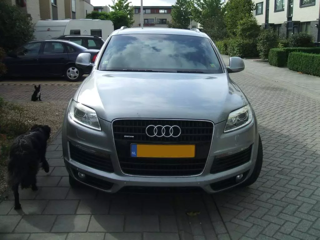 DSCF2373.webp