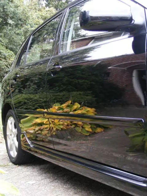 DSCF3194.webp