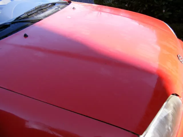 DSCF3463.webp