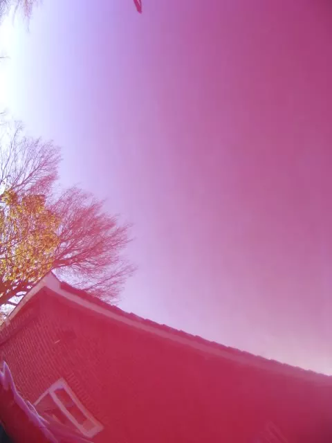 DSCF3476.webp