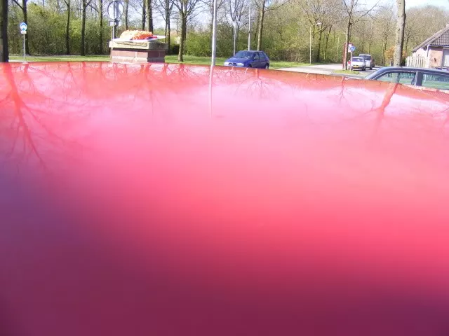 DSCF3478.webp
