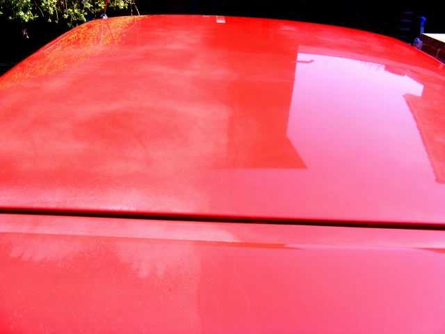 DSCF3480.webp