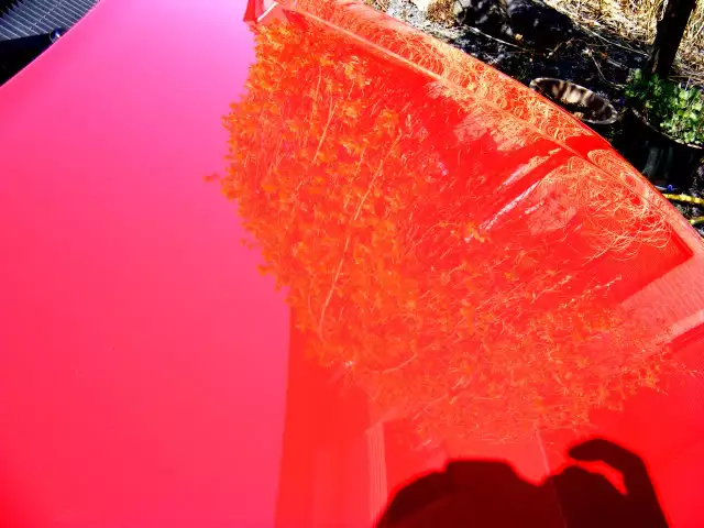DSCF3485.webp