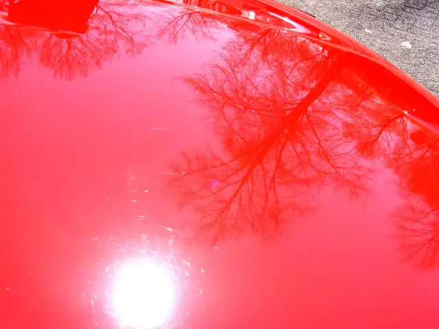 DSCF3492.webp