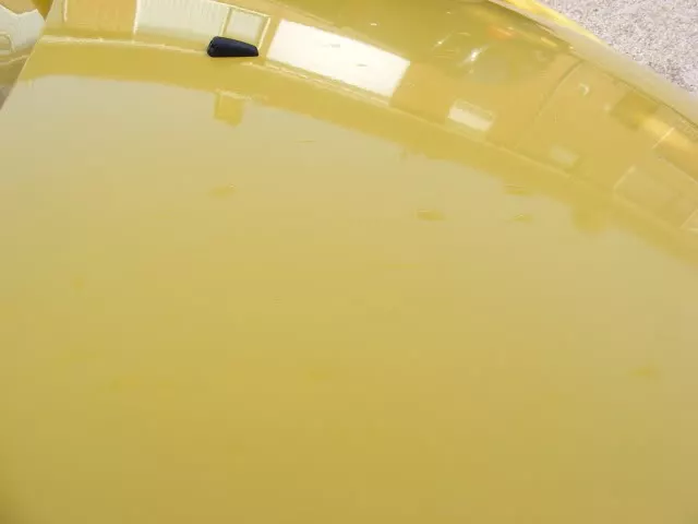 DSCF3496.webp