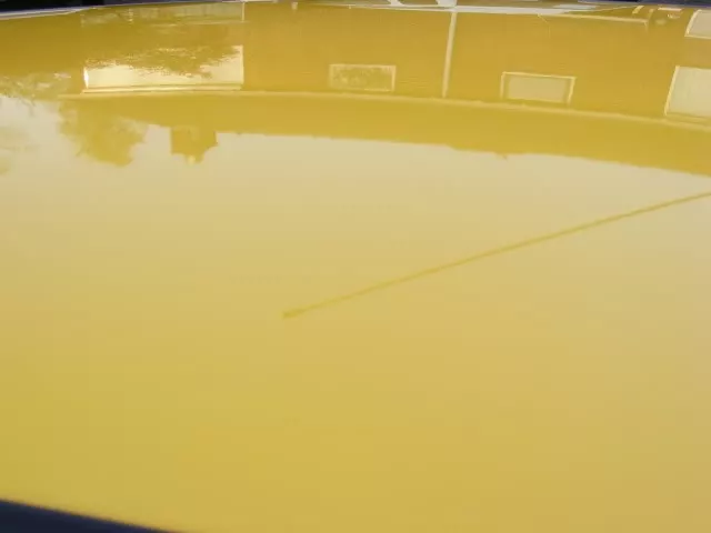 DSCF3504.webp
