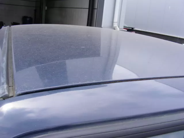DSCF3563.webp