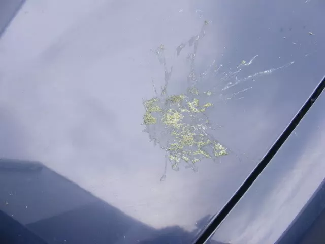 DSCF3564.webp