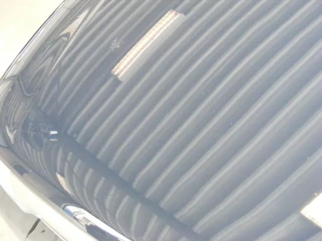 DSCF3574.webp