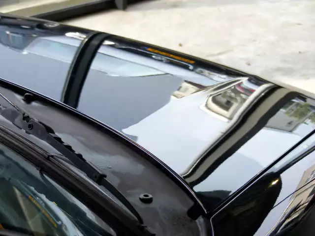 DSCF3585.webp
