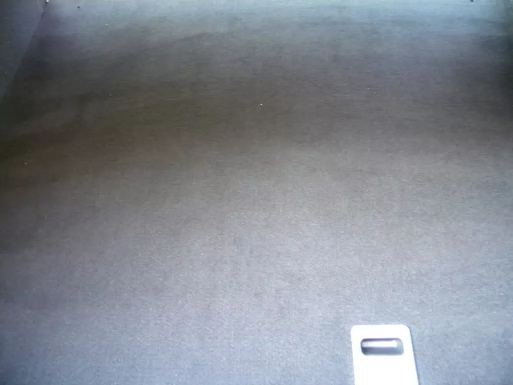 DSCN0170.webp