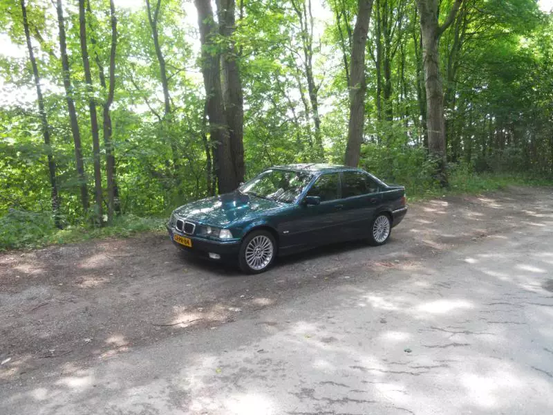 DSCN1178.webp