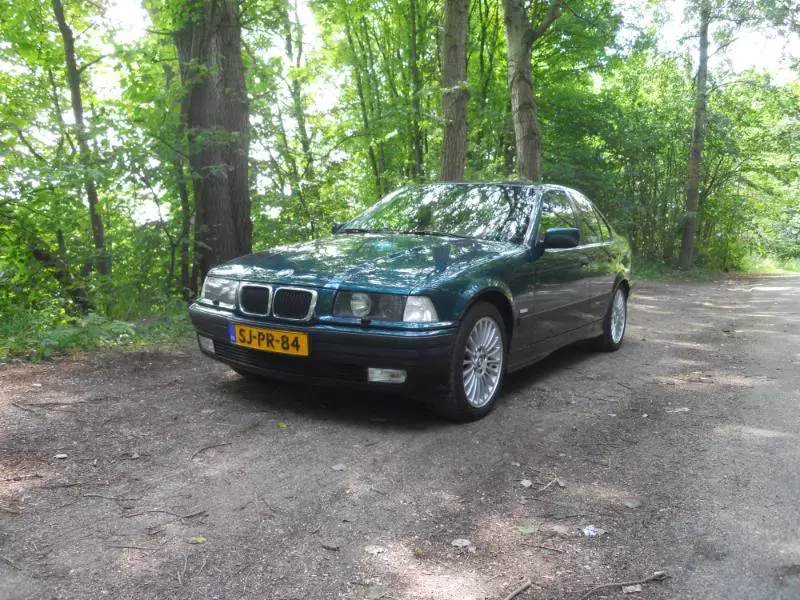 DSCN1180.webp