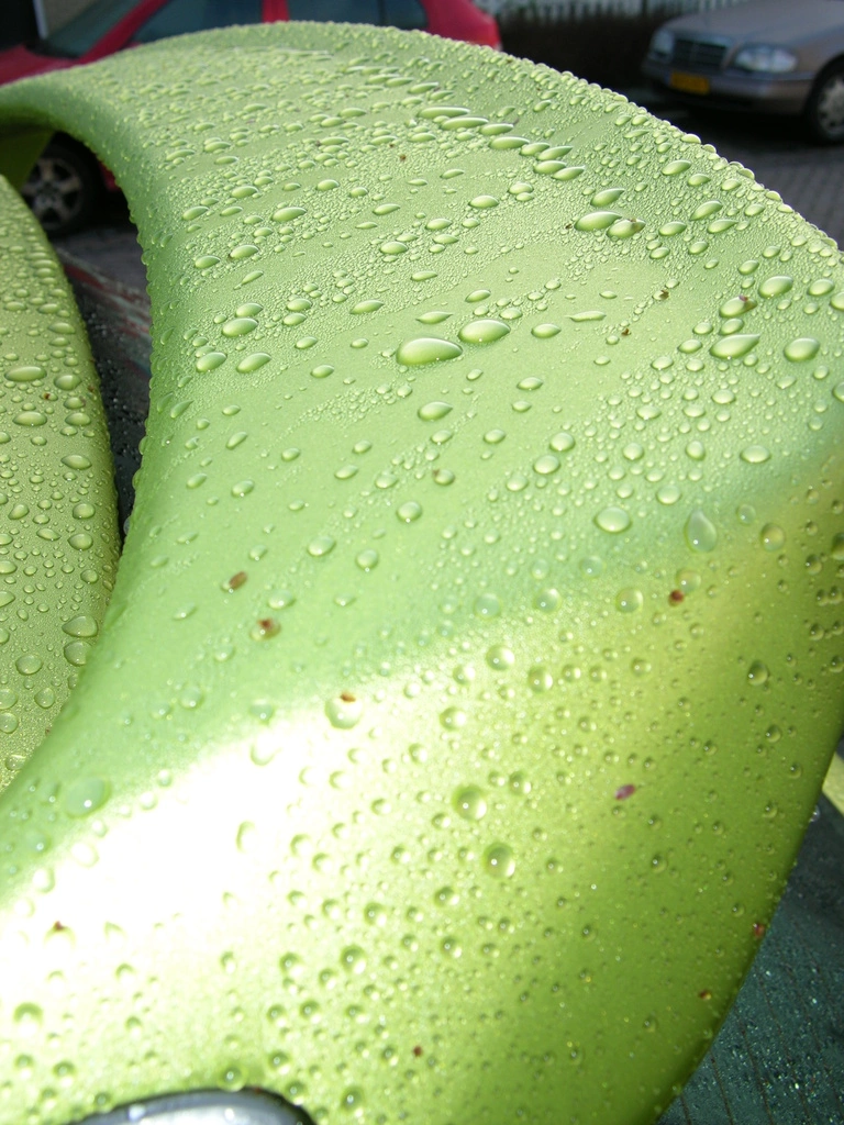 dscn1305v.webp
