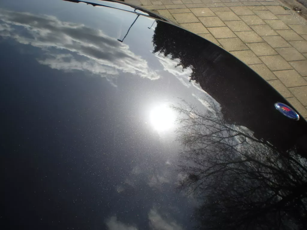 DSCN1606.webp
