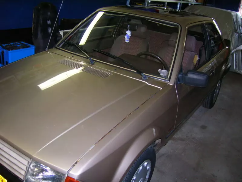 DSCN2524.webp