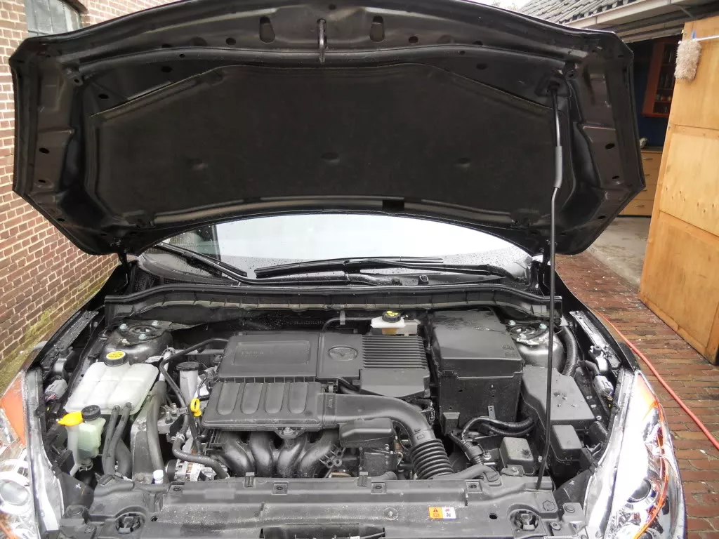 DSCN2564.webp