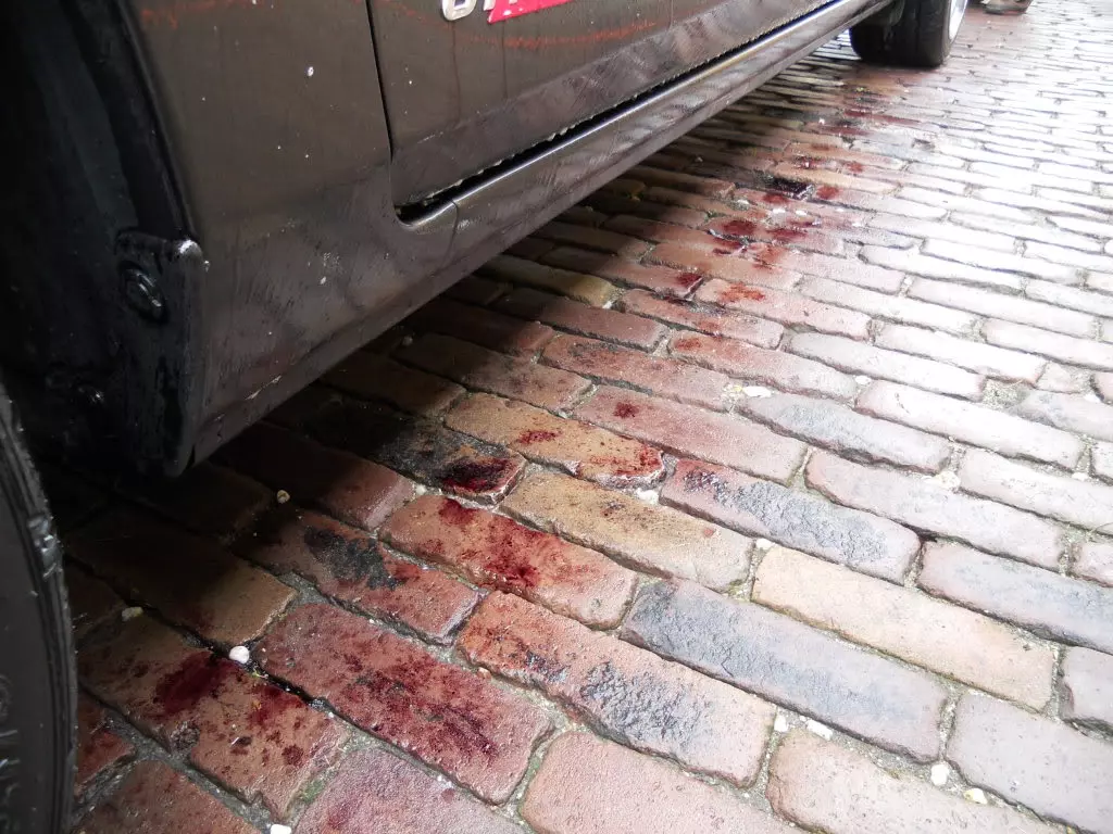 DSCN2573.webp