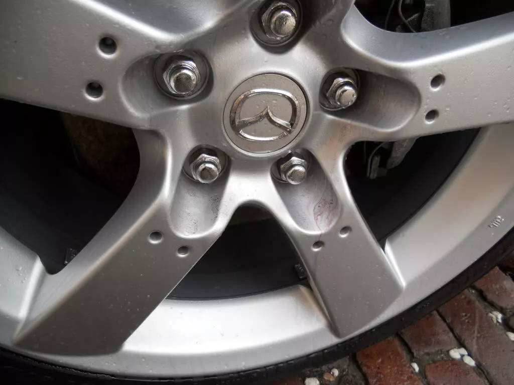 DSCN2575.webp