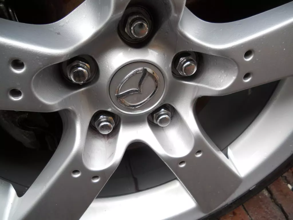 DSCN2576.webp
