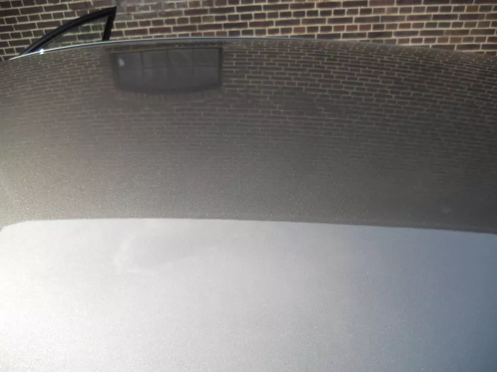 DSCN2632.webp