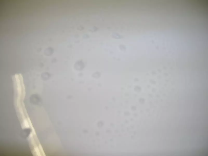 DSCN2703.webp