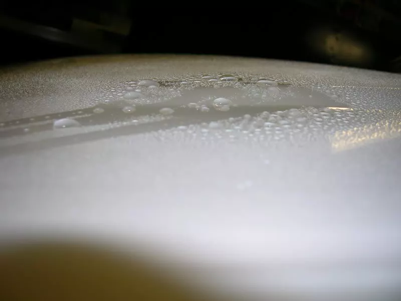 DSCN2709.webp