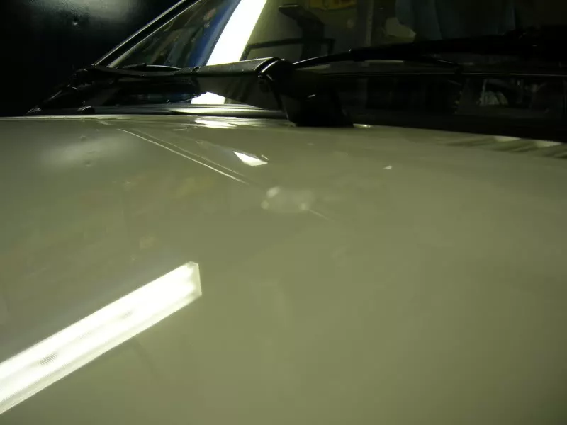 DSCN2725.webp