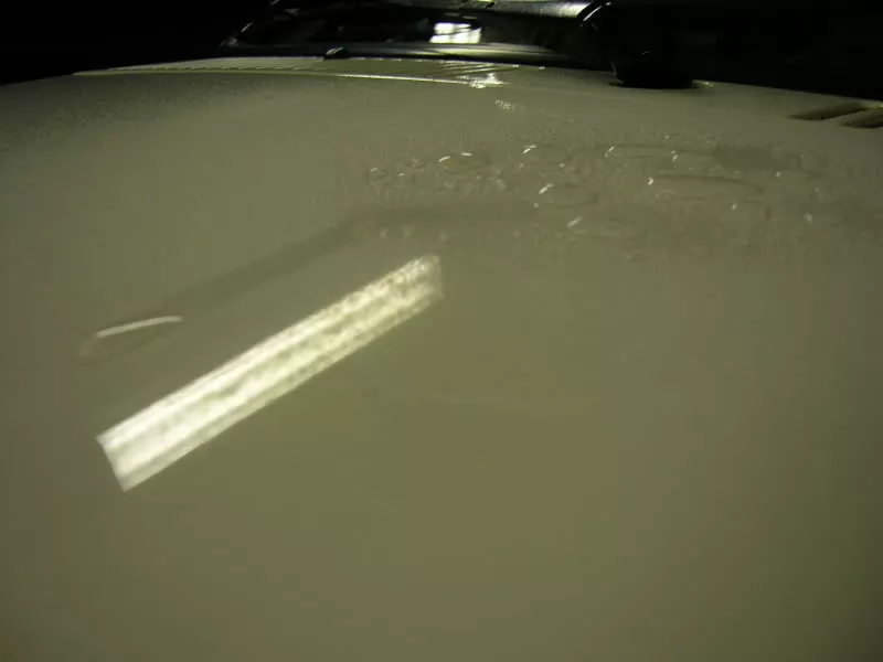 DSCN2728.webp