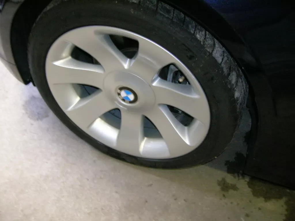 DSCN2965.webp