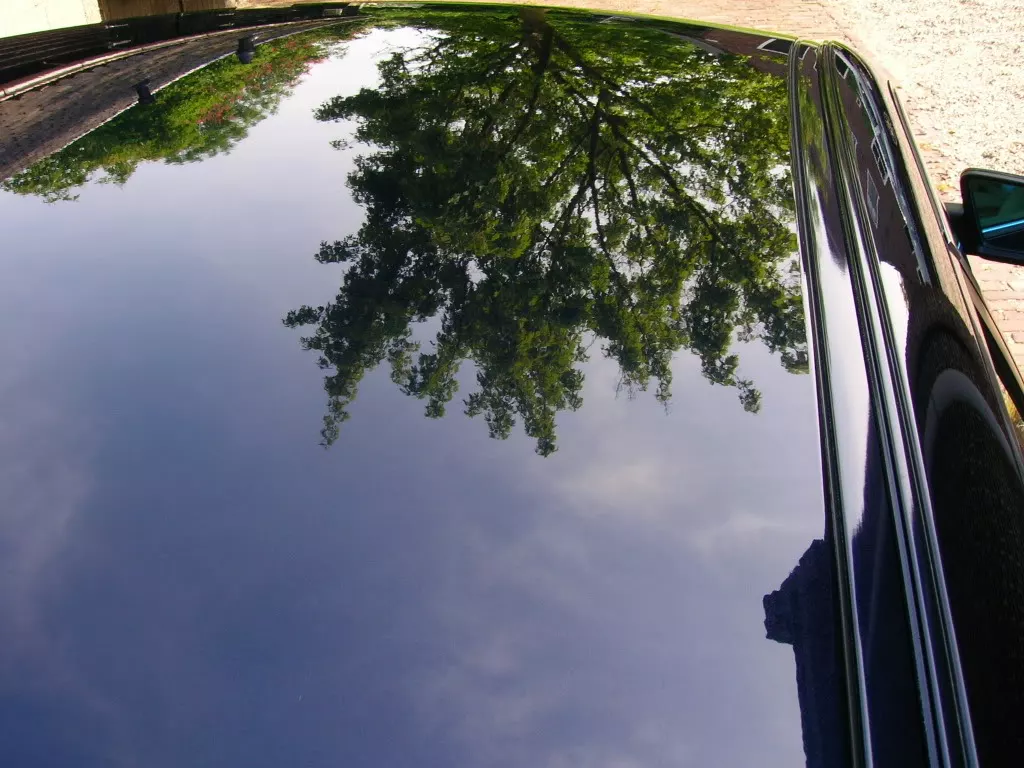 DSCN2990.webp
