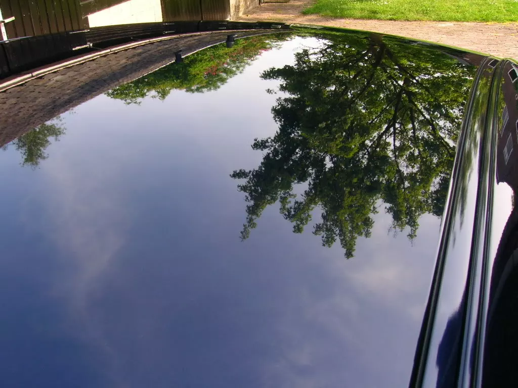 DSCN2991.webp