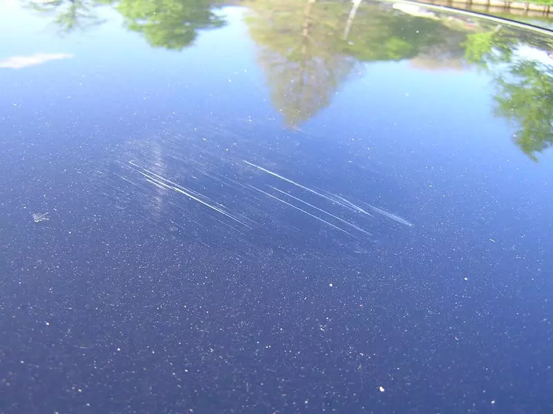 DSCN3499.webp