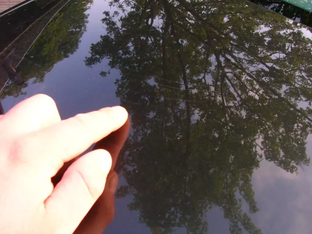 DSCN3800.webp